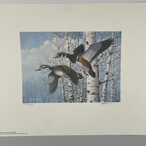 Pennsylvania Waterfowl Management Stamp Print Wood Ducks 1988 #2235